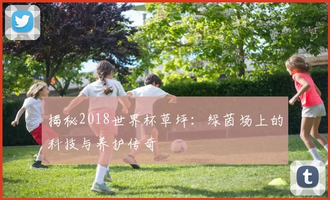 揭秘2018世界杯草坪：绿茵场上的科技与养护传奇