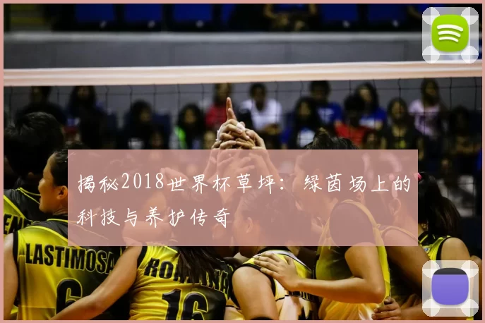 揭秘2018世界杯草坪:绿茵场上的科技与养护传奇