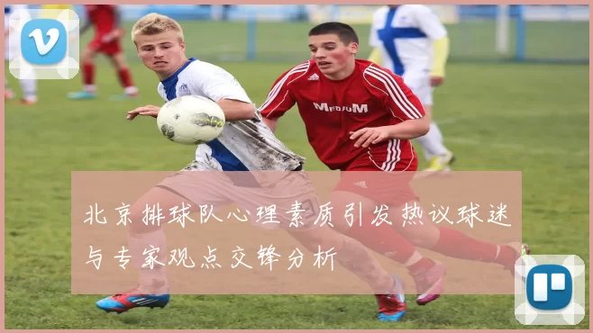 北京排球队心理素质引发热议球迷与专家观点交锋分析
